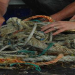marine litter ropes
